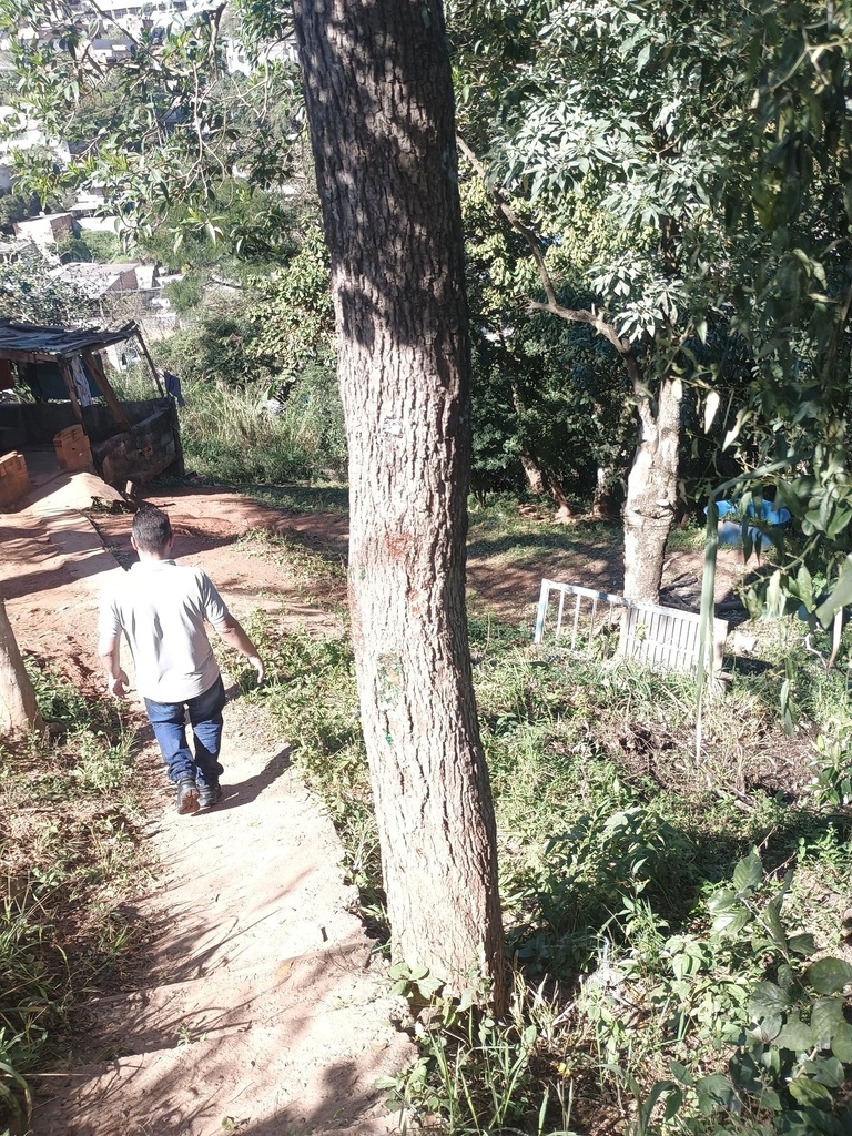 1004378241.jpg