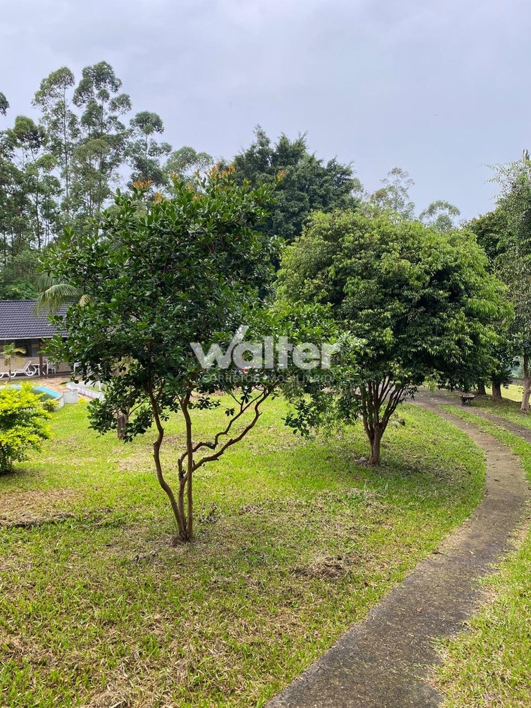 Sitio Marjorie 17.jpg