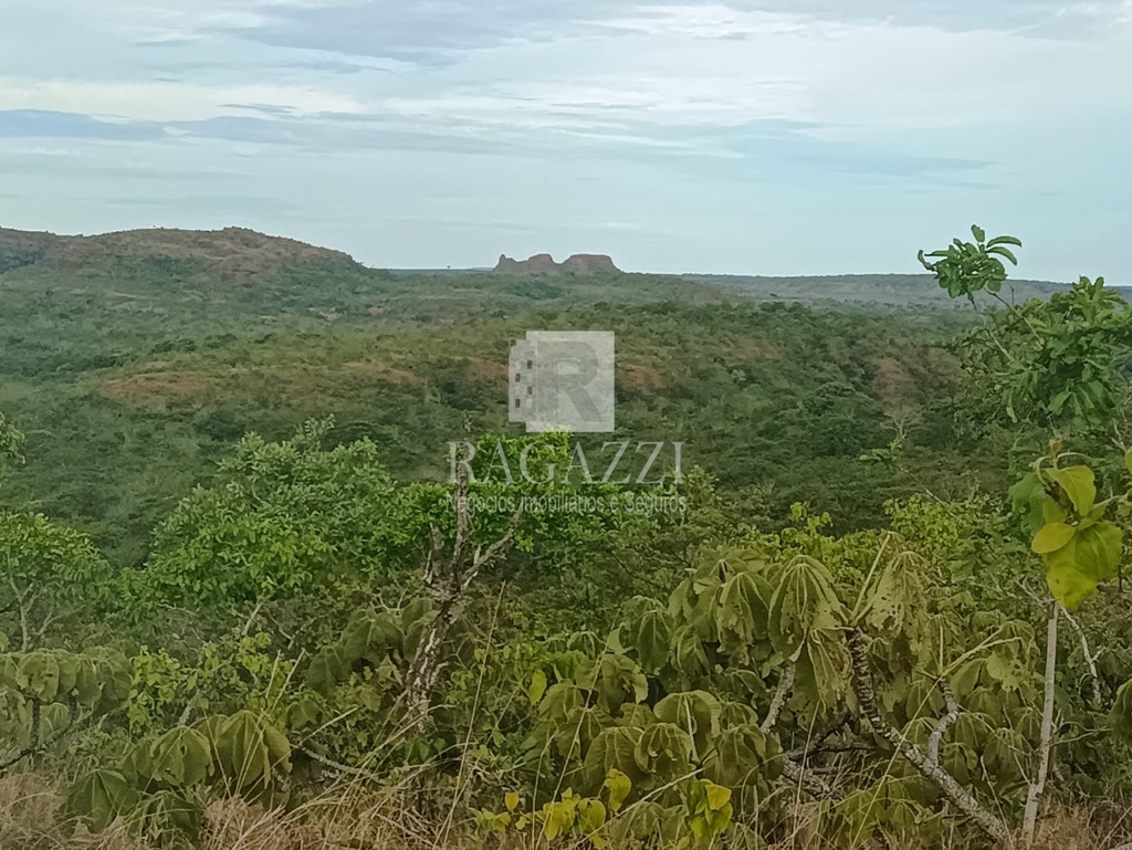 GUIRATINGA FOTO 2 .jpeg