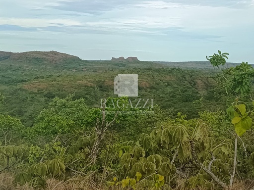 Fazenda/Sítios/Chácaras de 6000000m² no bairro RURAL , em Guiratinga | Eu Corretor