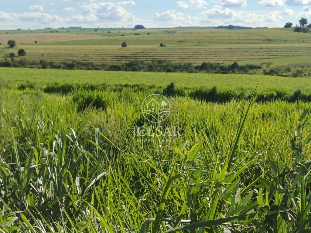 703500.jpg