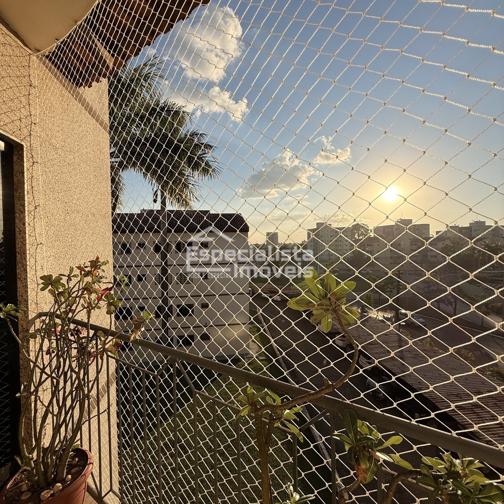 IMG_2606.jpeg