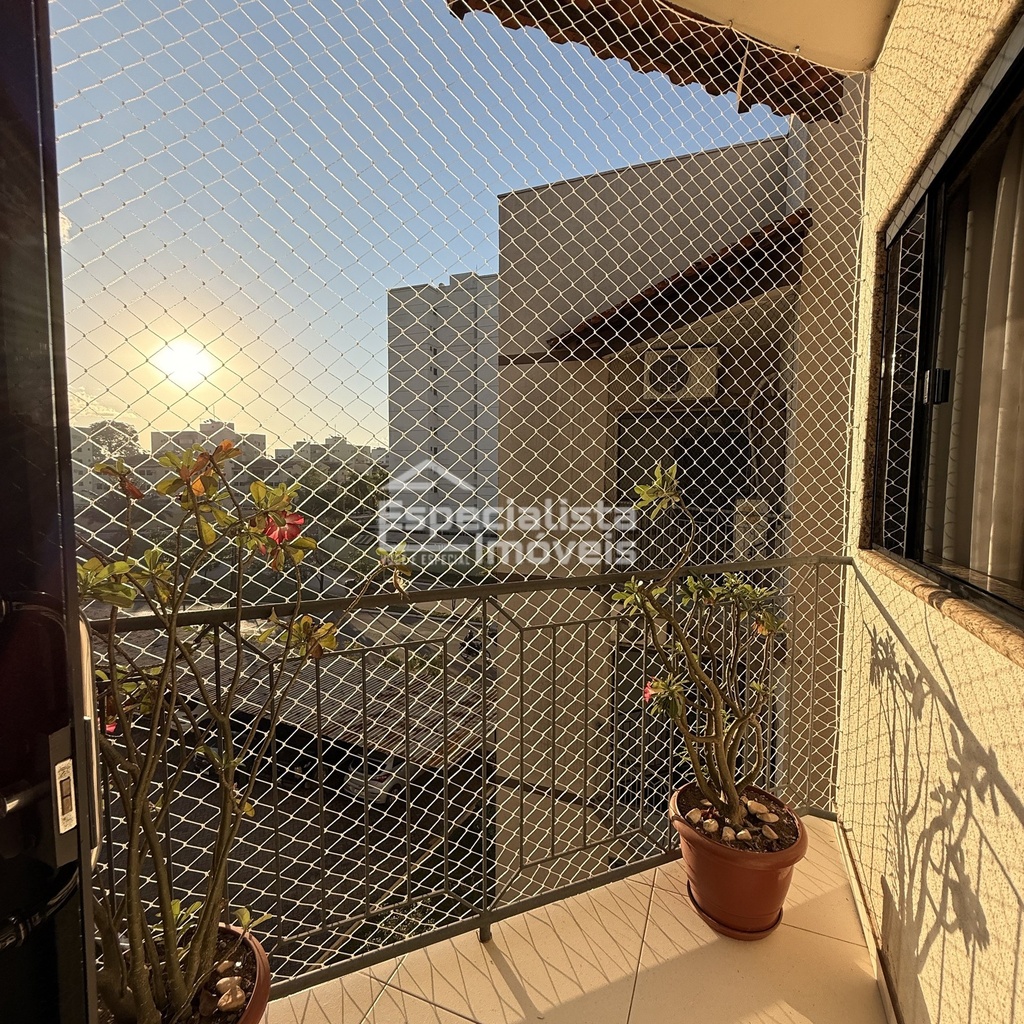 IMG_2603.jpeg