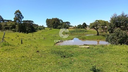 Lote/Terreno de 4 quartos, 25000m² no bairro Bairro Santo Antônio, em Irani | Eu Corretor