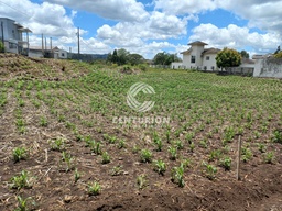 Lote/Terreno de 1962m² no bairro Santo Marcon, em Irani | Eu Corretor