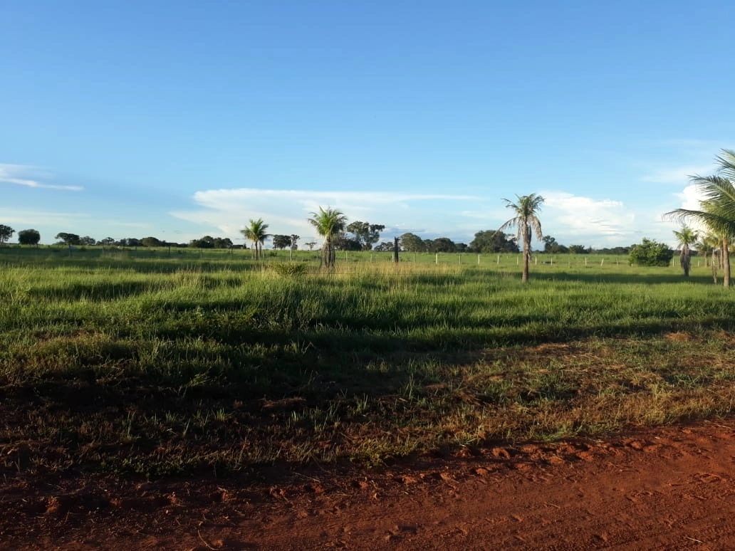 Fazenda/Sítios/Chácaras de 541050000m² no bairro Lagoa da Confusão, em Lagoa da Confusão | Eu Corretor