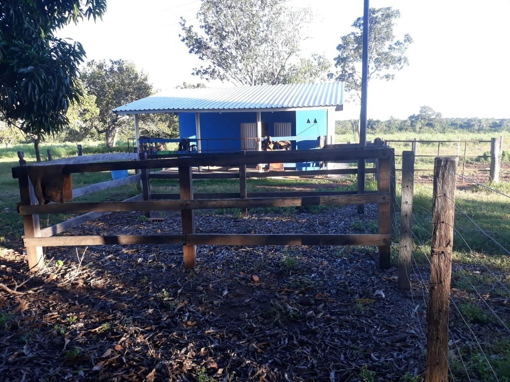 Fazenda/Sítios/Chácaras de 541050000m² no bairro Lagoa da Confusão, em Lagoa da Confusão | Eu Corretor