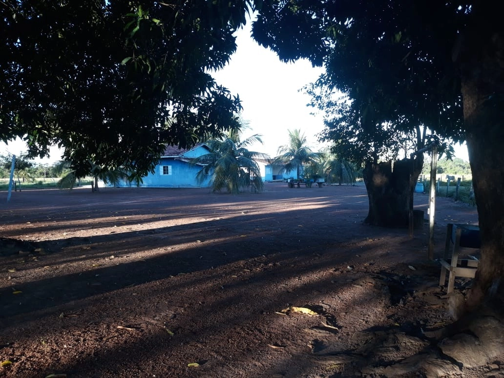 Fazenda/Sítios/Chácaras de 541050000m² no bairro Lagoa da Confusão, em Lagoa da Confusão | Eu Corretor