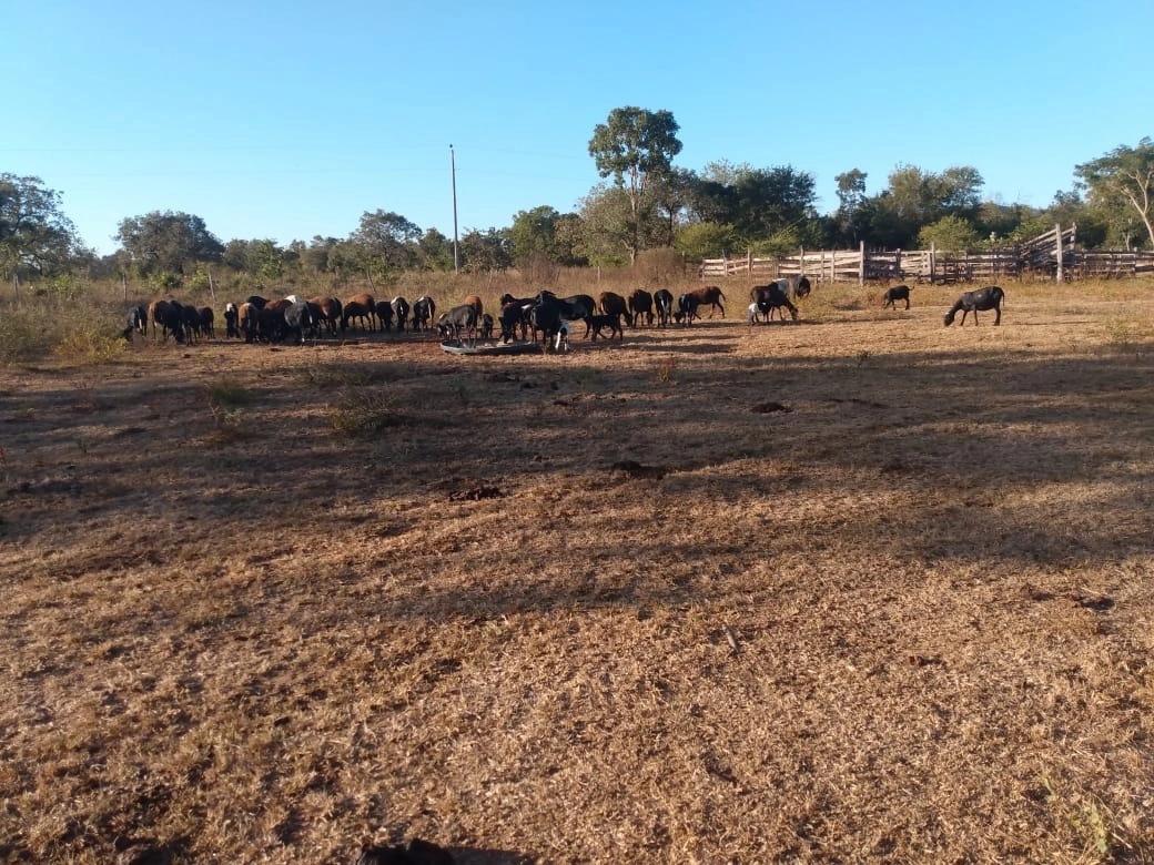 Fazenda/Sítios/Chácaras de 2178000m² no bairro Vila Boa, em Vila Boa | Eu Corretor