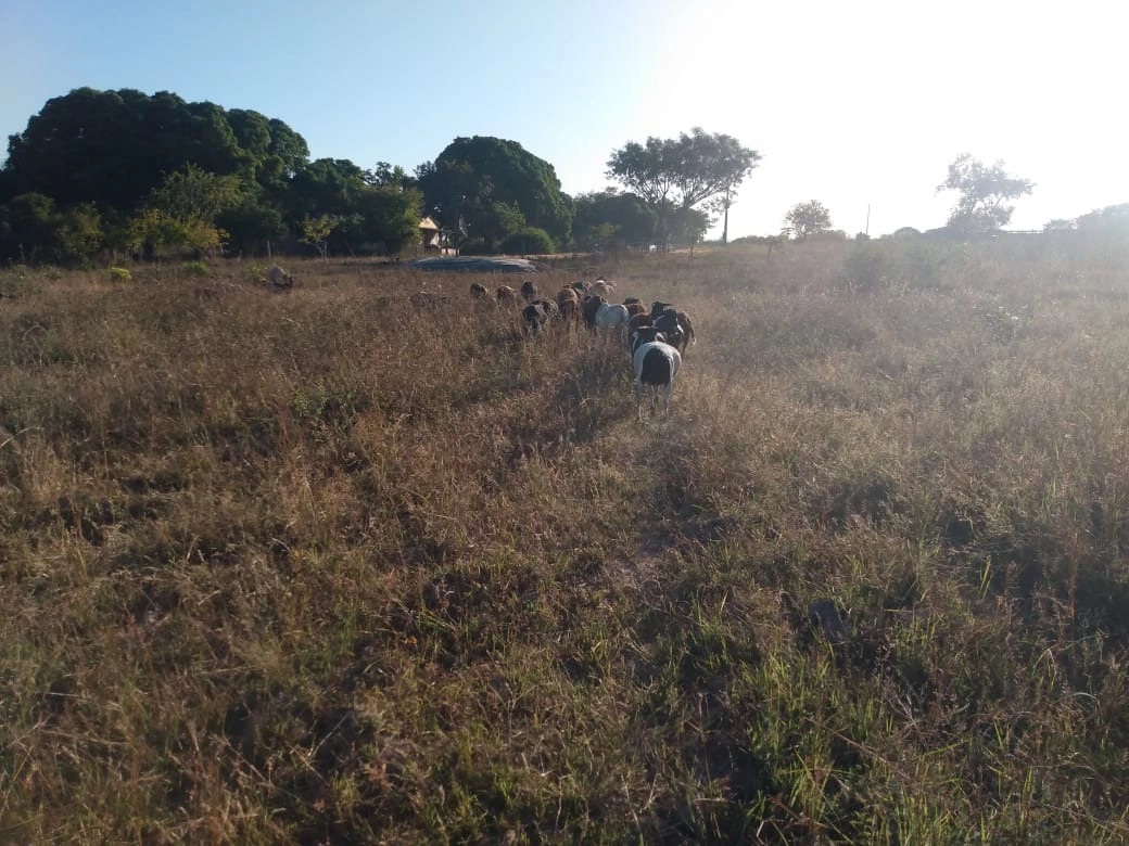 Fazenda/Sítios/Chácaras de 2178000m² no bairro Vila Boa, em Vila Boa | Eu Corretor
